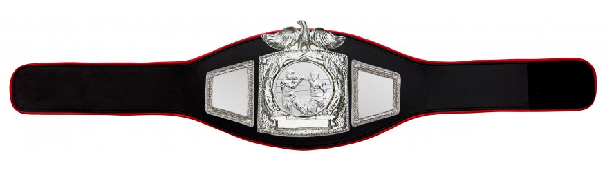 PROEAGLE BOXING CHAMPIONSHIP BELT - PROEAGLE/S/BOXS - AVAILABLE IN 6+ COLOURS